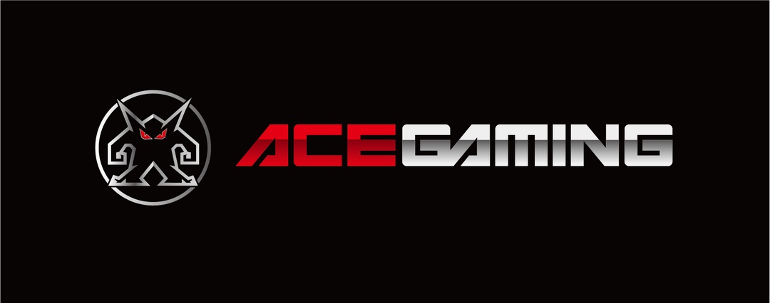 Những thông tin về AE Gaming trên thị trường hiện nay