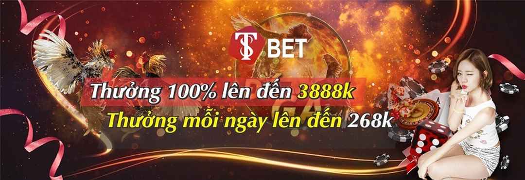 T8bet có phải là một nhà cái an toàn?