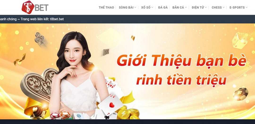 Thông tin dành cho bạn về nhà cái T8betThông tin dành cho bạn về nhà cái T8bet