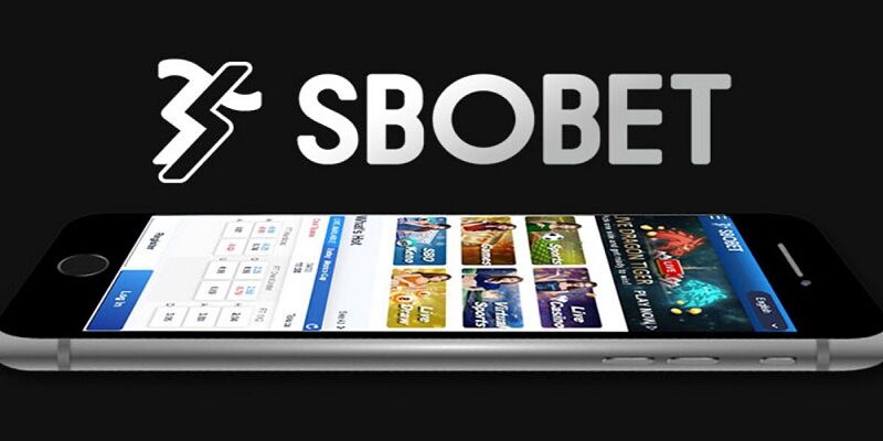 Những lưu ý quan trọng cần biết khi tải app Sbobet